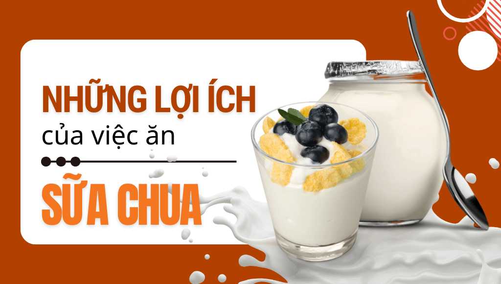 Ăn sữa chua có tác dụng gì Cách ăn sữa để có hiệu quả nhất Sokul Coffee