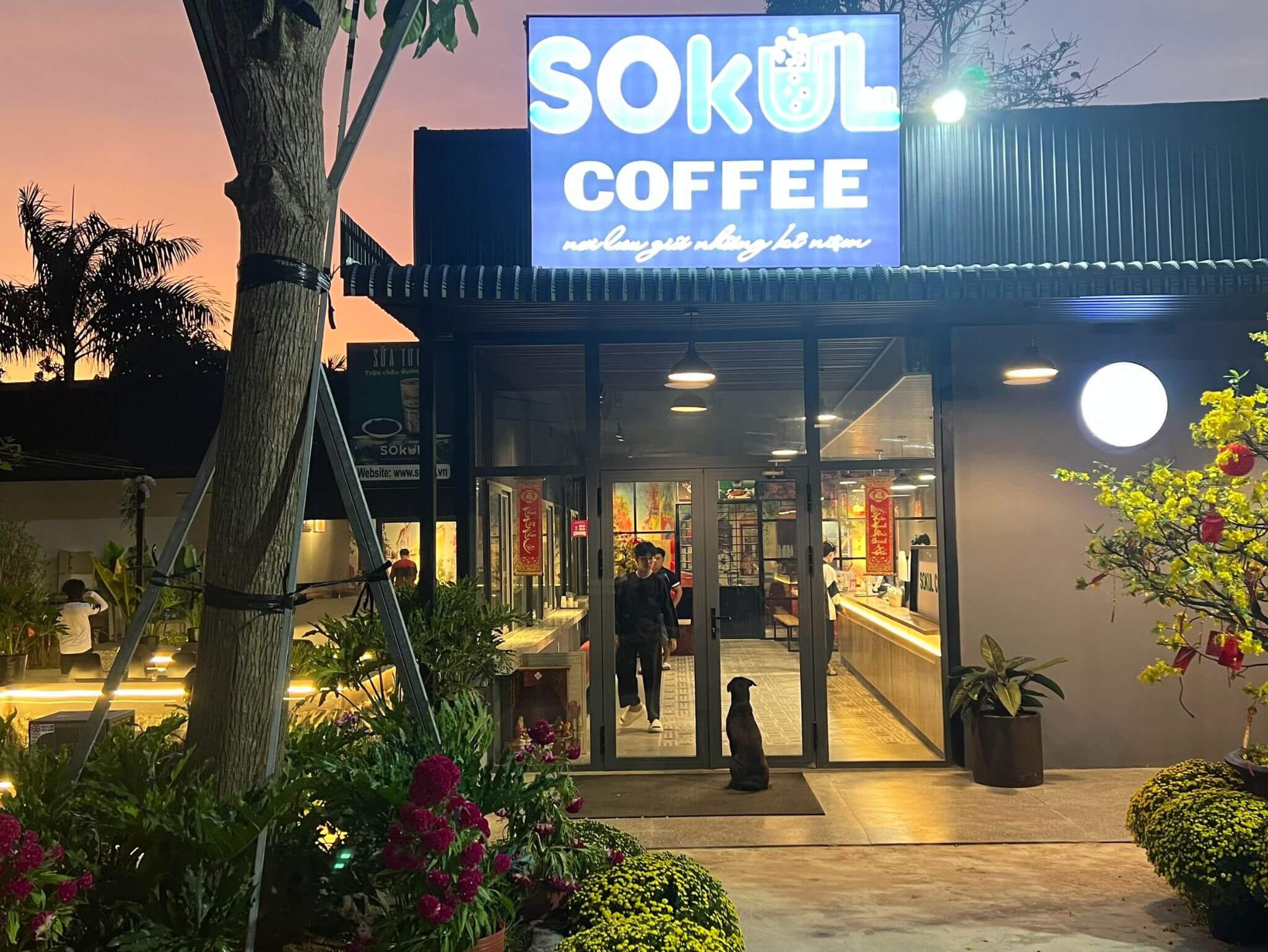 Sokul Coffee là một cafe được thành lập vào năm 2012. Quán chuyên phục vụ các loại đồ uống như cà phê, trà sữa, trà trái cây, đá xay, đồ uống nóng,... tại Chợ Lách thuộc tỉnh Bến Tre.